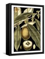 Tranquil Tropical Leaves IV-Vision Studio-Framed Stretched Canvas