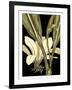 Tranquil Tropical Leaves V-Vision Studio-Framed Art Print