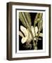 Tranquil Tropical Leaves V-Vision Studio-Framed Art Print