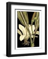 Tranquil Tropical Leaves V-Vision Studio-Framed Art Print