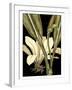 Tranquil Tropical Leaves V-Vision Studio-Framed Art Print