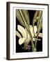 Tranquil Tropical Leaves V-Vision Studio-Framed Art Print