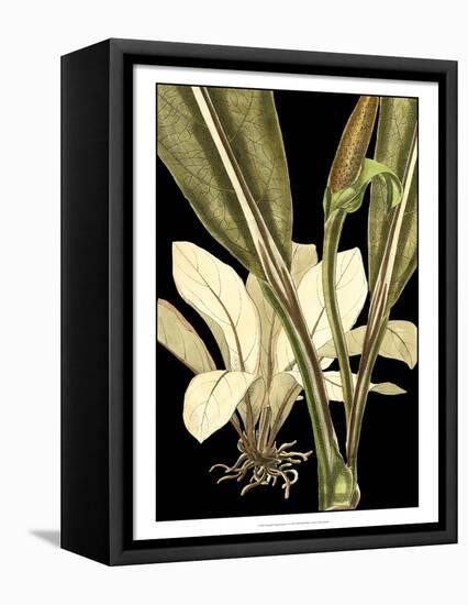 Tranquil Tropical Leaves V-Vision Studio-Framed Stretched Canvas