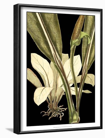 Tranquil Tropical Leaves V-Vision Studio-Framed Art Print