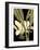 Tranquil Tropical Leaves V-Vision Studio-Framed Art Print