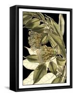 Tranquil Tropical Leaves VI-Vision Studio-Framed Stretched Canvas