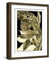 Tranquil Tropical Leaves VI-Vision Studio-Framed Art Print