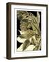 Tranquil Tropical Leaves VI-Vision Studio-Framed Art Print