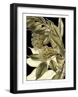 Tranquil Tropical Leaves VI-Vision Studio-Framed Art Print