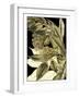 Tranquil Tropical Leaves VI-Vision Studio-Framed Art Print