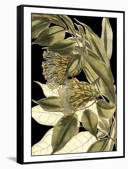 Tranquil Tropical Leaves VI-Vision Studio-Framed Stretched Canvas