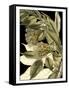 Tranquil Tropical Leaves VI-Vision Studio-Framed Stretched Canvas