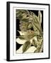 Tranquil Tropical Leaves VI-Vision Studio-Framed Art Print