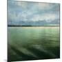 Tranquil Waters II-Amy Melious-Mounted Art Print