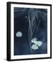 Tranquil Waters-Mikael Svensson-Framed Giclee Print