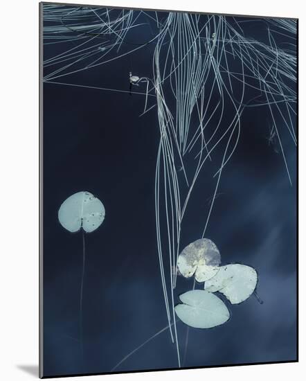 Tranquil Waters-Mikael Svensson-Mounted Giclee Print