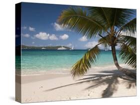 Tranquil White Sand Beach, St John, United States Virgin Islands, USA, US Virgin Islands, Caribbean-Trish Drury-Stretched Canvas