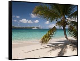 Tranquil White Sand Beach, St John, United States Virgin Islands, USA, US Virgin Islands, Caribbean-Trish Drury-Framed Stretched Canvas