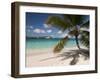 Tranquil White Sand Beach, St John, United States Virgin Islands, USA, US Virgin Islands, Caribbean-Trish Drury-Framed Premium Photographic Print