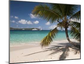 Tranquil White Sand Beach, St John, United States Virgin Islands, USA, US Virgin Islands, Caribbean-Trish Drury-Mounted Premium Photographic Print