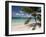 Tranquil White Sand Beach, St John, United States Virgin Islands, USA, US Virgin Islands, Caribbean-Trish Drury-Framed Photographic Print