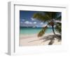 Tranquil White Sand Beach, St John, United States Virgin Islands, USA, US Virgin Islands, Caribbean-Trish Drury-Framed Photographic Print