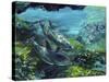 Tranquility Atlantic Bottlenose Dolphins-Lucy P. McTier-Stretched Canvas