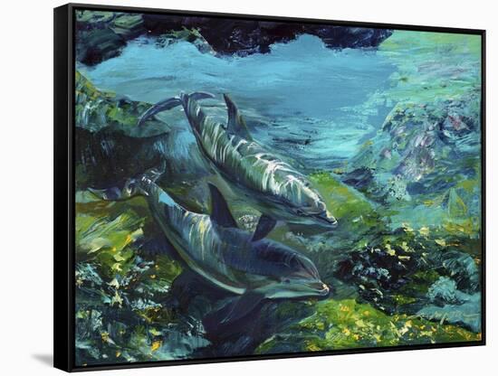 Tranquility Atlantic Bottlenose Dolphins-Lucy P. McTier-Framed Stretched Canvas