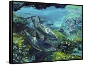 Tranquility Atlantic Bottlenose Dolphins-Lucy P. McTier-Framed Stretched Canvas