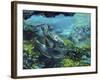 Tranquility Atlantic Bottlenose Dolphins-Lucy P. McTier-Framed Giclee Print