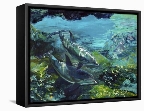 Tranquility Atlantic Bottlenose Dolphins-Lucy P. McTier-Framed Stretched Canvas