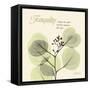 Tranquility Eucalyptus-Albert Koetsier-Framed Stretched Canvas