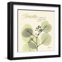 Tranquility Eucalyptus-Albert Koetsier-Framed Art Print