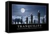 Tranquility: Inspirational Quote and Motivational Poster-null-Framed Stretched Canvas