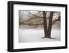 Tranquility-David Winston-Framed Art Print