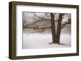 Tranquility-David Winston-Framed Art Print