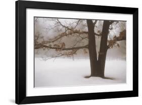 Tranquility-David Winston-Framed Art Print