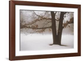 Tranquility-David Winston-Framed Art Print