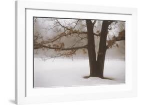 Tranquility-David Winston-Framed Art Print