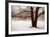 Tranquility-David Winston-Framed Giclee Print