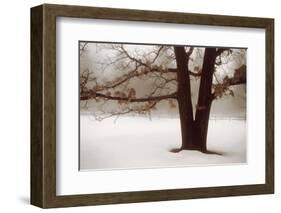 Tranquility-David Winston-Framed Giclee Print