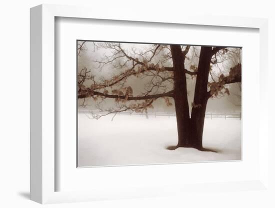 Tranquility-David Winston-Framed Giclee Print