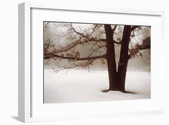 Tranquility-David Winston-Framed Giclee Print