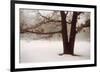 Tranquility-David Lorenz Winston-Framed Giclee Print