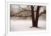 Tranquility-David Lorenz Winston-Framed Giclee Print