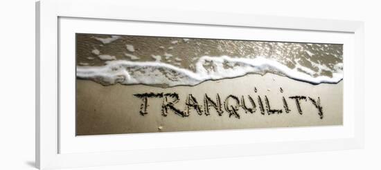 Tranquility-Alan Hausenflock-Framed Art Print