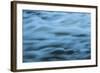 Tranquility-Anthony Paladino-Framed Giclee Print