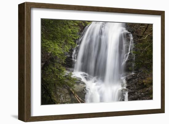 Tranquility-Brenda Petrella Photography LLC-Framed Giclee Print