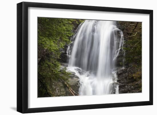 Tranquility-Brenda Petrella Photography LLC-Framed Giclee Print