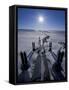 Trans-Alaska Pipeline From Prudhoe Bay to Valdez, Brooks Range, Alaska, USA-Hugh Rose-Framed Stretched Canvas